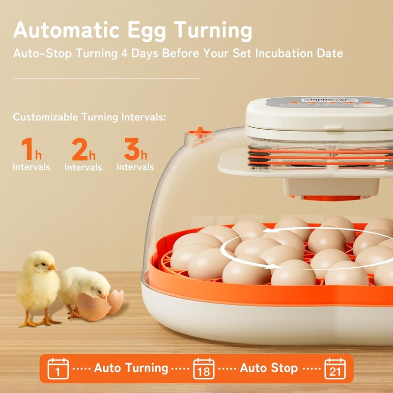 Apdoe 25 Egg Incubator, Automatic Egg Turning, Temperature & Humidity Control, Auto Stop Turning, Settable Incubation Period, Egg Candler, Auto Water Refill, Hatching Chicken Duck Quail, HatchPro 25 - Image 5